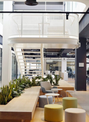 Proyectos Attard